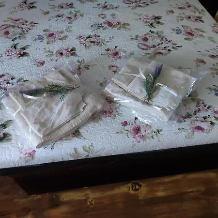 Casa Rosa Anna 公寓 *